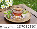 Lungwort tea 137032593