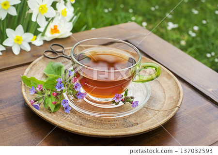 Lungwort tea 137032593