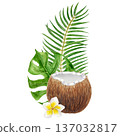 Watercolor illustration of coconut with monstera leaf, palm frond and plumeria flower. Hand painted tropical composition created as exotic botanical artwork for packaging, spa branding and summer Watercolor illustration of coconut with monstera leaf, palm frond and plumeria flower. Hand painted tropical composition created as exotic botanical artwork for packaging, spa branding and summer 137032817