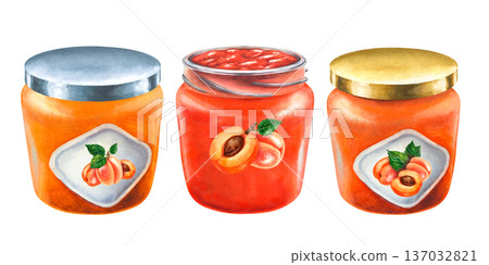 Hand painted watercolor set of apricot jam glass jars with different lids, labels. Homemade fruit preserves isolated on white background for packaging design, food branding, jam labels, farmers market Hand painted watercolor set of apricot jam glass jars with different lids, labels. Homemade fruit preserves isolated on white background for packaging design, food branding, jam labels, farmers market 137032821