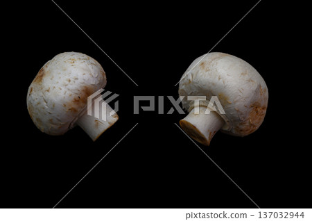 Button Mushrooms on Black Background 137032944