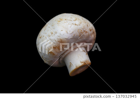 Single Button Mushroom on Black Background Single Button Mushroom on Black Background 137032945