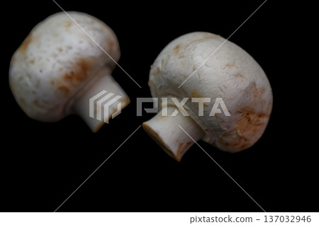 Fresh Button Mushrooms on Dark Background Fresh Button Mushrooms on Dark Background 137032946