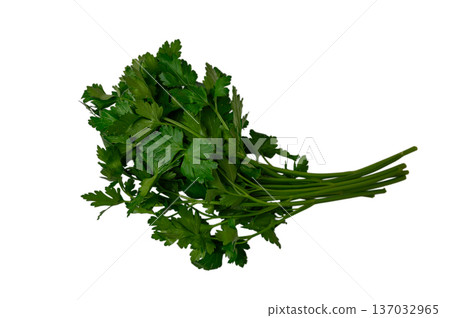 Bunch of Fresh Parsley on White Background Bunch of Fresh Parsley on White Background 137032965