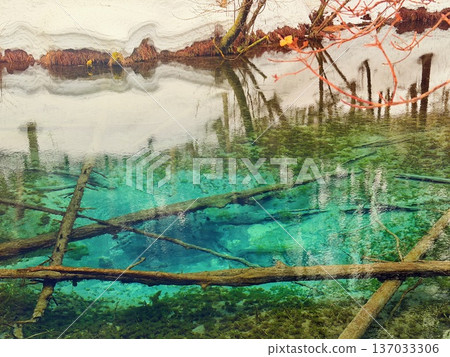 Snowshoeing around Kaminoko Pond in Hokkaido 137033306