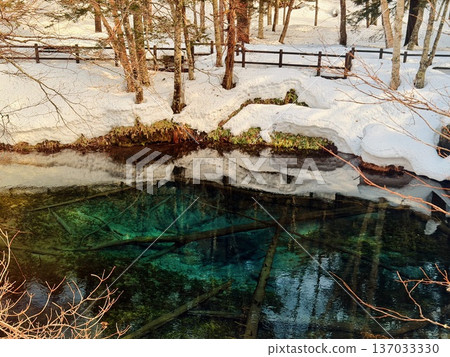Snowshoeing around Kaminoko Pond in Hokkaido 137033330