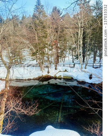 在北海道的卡米諾湖池塘周圍穿著雪鞋行走 在北海道的卡米諾湖池塘周圍穿著雪鞋行走 137033332