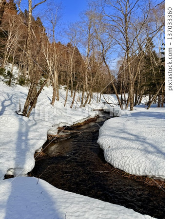 在北海道的卡米諾湖池塘周圍穿著雪鞋行走 在北海道的卡米諾湖池塘周圍穿著雪鞋行走 137033360
