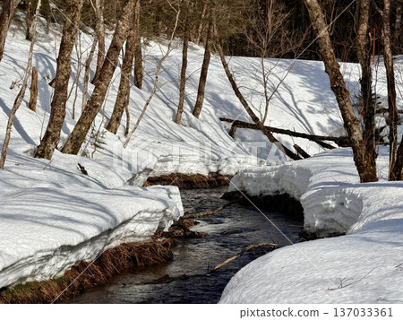 Snowshoeing around Kaminoko Pond in Hokkaido Snowshoeing around Kaminoko Pond in Hokkaido 137033361