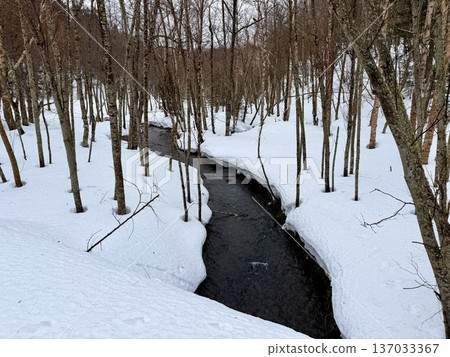 在北海道的卡米諾湖池塘周圍穿著雪鞋行走 在北海道的卡米諾湖池塘周圍穿著雪鞋行走 137033367
