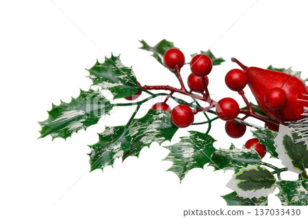 Vibrant Holly Sprigs Festive Red Green on White Vibrant Holly Sprigs Festive Red Green on White 137033430