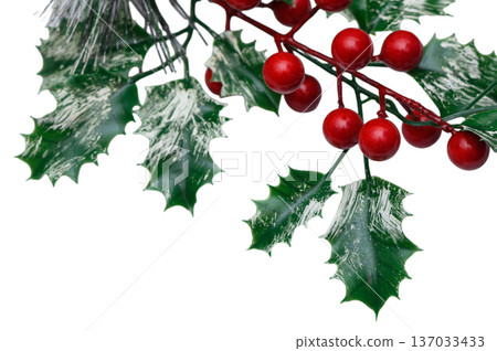 Classic Holly with Berries Christmas Decor on White 137033433