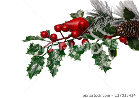Christmas Holly Arrangement Red Berries Green Leaves on White 137033434