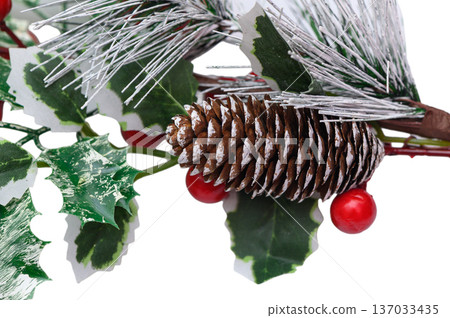 Holly Berry Sprigs Festive Natural Decor on White 137033435