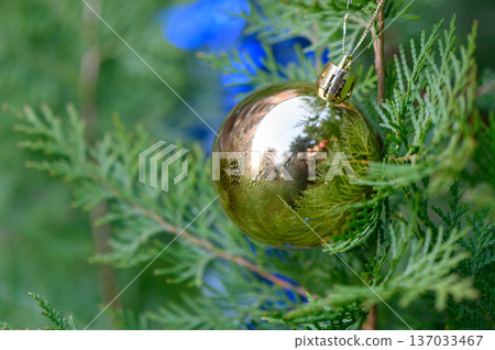 Vintage Christmas Baubles on Lush Green Fir Branch Closeup Vintage Christmas Baubles on Lush Green Fir Branch Closeup 137033467