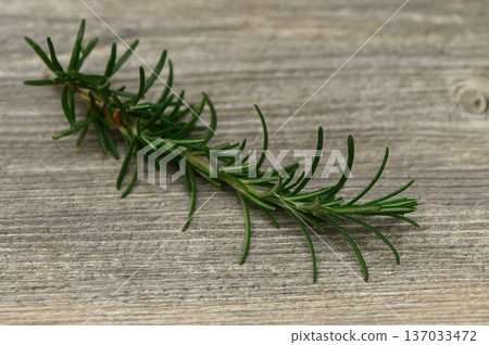 Close Up of Fragrant Rosemary Sprig on Kitchen Counter Close Up of Fragrant Rosemary Sprig on Kitchen Counter 137033472