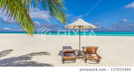 Picturesque summer panoramic honeymoon beach ocean view quiet luxury palm leaves 137033484