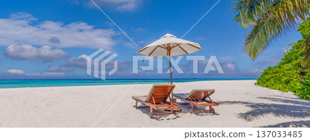 Dream travel summer ocean beach love couple honeymoon destination scenic radiant palm trees elemental luxury blue health 137033485