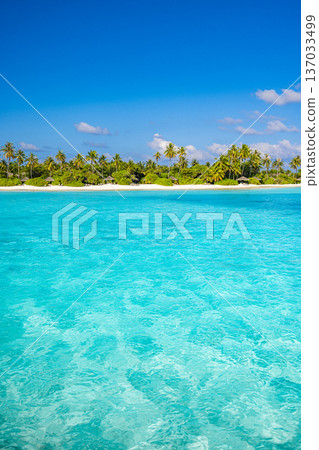 Radiant vertical summer beach landscape shiny calm ocean lagoon island palm trees best travel vacation blue health Radiant vertical summer beach landscape shiny calm ocean lagoon island palm trees best travel vacation blue health 137033499