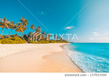 Magical sunset beach landscape summer nature travel background tropical ocean Magical sunset beach landscape summer nature travel background tropical ocean 137033500