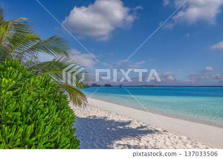 Tranquil mood sunny summer beach background calm waves tropical ocean inspire Tranquil mood sunny summer beach background calm waves tropical ocean inspire 137033506