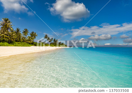 Tranquil mood summer vacation beach background calm waves tropical landscape 137033508