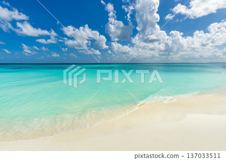 Tranquil mood sunny summer beach background calm waves tropical ocean scenery 137033511