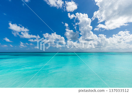 Tropical ocean calm water sunny happy sky inspire nature seascape background Tropical ocean calm water sunny happy sky inspire nature seascape background 137033512