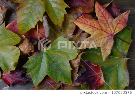Autumn Leaf Scatter on a Weathered Wooden Table Autumn Leaf Scatter on a Weathered Wooden Table 137033576