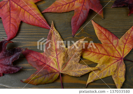 Warm Autumn Leaves on Textured Wood Table Warm Autumn Leaves on Textured Wood Table 137033580
