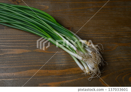 Vibrant Bunch of Green Onions on Weathered Wood Vibrant Bunch of Green Onions on Weathered Wood 137033601