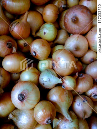The yellow Onions sets background and texture. The yellow Onions sets background and texture. 137033720