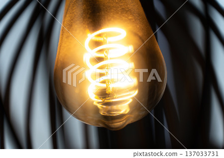 A close-up view of the spiral filament of a glowing bright light bulb inside a lampshade. The intricate details of illuminated coil create a warm and inviting atmosphere A close-up view of the spiral filament of a glowing bright light bulb inside a lampshade. The intricate details of illuminated coil create a warm and inviting atmosphere 137033731