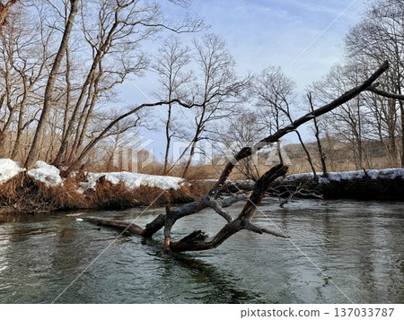 Canoeing down the Kushiro River in Hokkaido in winter Canoeing down the Kushiro River in Hokkaido in winter 137033787