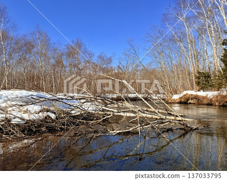 Canoeing down the Kushiro River in Hokkaido in winter Canoeing down the Kushiro River in Hokkaido in winter 137033795