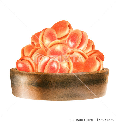 Hand painted watercolor ripe apricot fruits in rustic wooden bowl isolated on white background. Organic farm fruit concept for food packaging design, jam label, branding, products, farmers, healthy 137034270