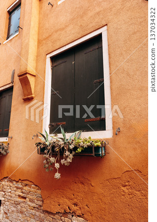 Old building with closed windows and plants in a wall box in a quiet neighborhood 137034322