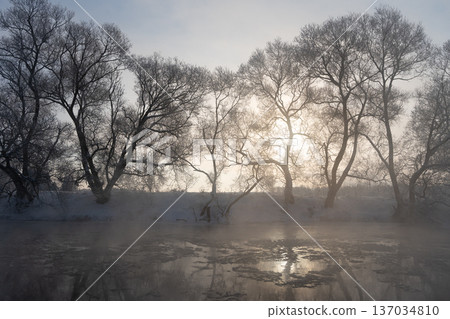 Dramatic winter landscape with golden sun shining through dark silhouettes of riverside trees. Fragmented ice pieces float and move on the frozen river surface. Wild, cold, untouched nature atmosphere Dramatic winter landscape with golden sun shining through dark silhouettes of riverside trees. Fragmented ice pieces float and move on the frozen river surface. Wild, cold, untouched nature atmosphere 137034810