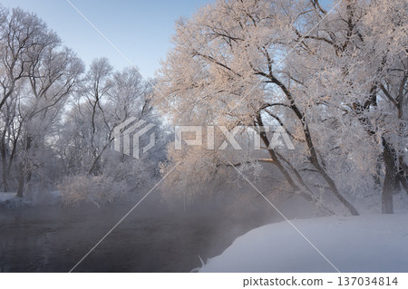 Peaceful winter landscape with calm river and trees covered in snowy frost. Bright soft morning light illuminating icy branches and fresh snow. Serene nature scene, pure white winter wonderland, cold Peaceful winter landscape with calm river and trees covered in snowy frost. Bright soft morning light illuminating icy branches and fresh snow. Serene nature scene, pure white winter wonderland, cold 137034814