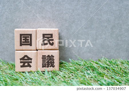 Wooden letter blocks representing the National Congress. Wooden letter blocks representing the National Congress. 137034907