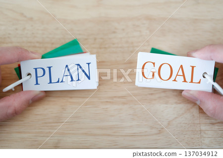 The concept of planning and goal achievement is shown by PLAN and GOAL. 137034912