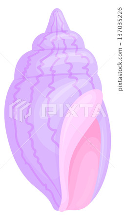 Volute seashell. Spiral shell. Fauna cartoon icon 137035226