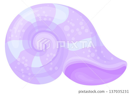 Nautilus seashell. Ocean mollusk underwater natural shell Nautilus seashell. Ocean mollusk underwater natural shell 137035231