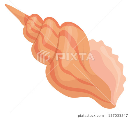 Cone spiral seashell cartoon icon. Decorative shell 137035247