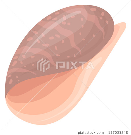 Whelk shell. Brown sand beach sea creature 137035248