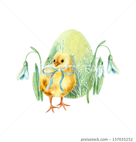 Watercolor hand drawn illustration of a yellow chicken with snowdrops on an Easter egg background. Easter illustration for the design of holiday products, cards and decor. Watercolor hand drawn illustration of a yellow chicken with snowdrops on an Easter egg background. Easter illustration for the design of holiday products, cards and decor. 137035252