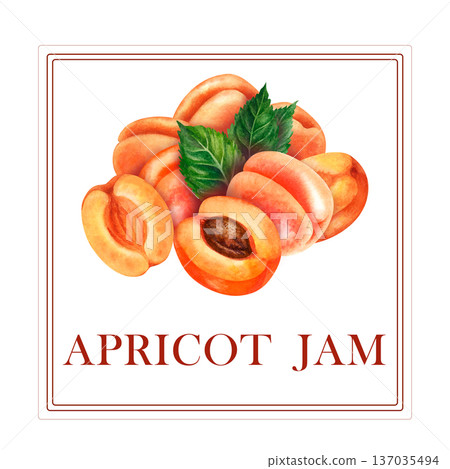 Watercolor apricot jam label template with hand painted ripe apricots fruits inside square frame isolated on white background for organic preserves, marmalade, jar stickers, farmers market Watercolor apricot jam label template with hand painted ripe apricots fruits inside square frame isolated on white background for organic preserves, marmalade, jar stickers, farmers market 137035494