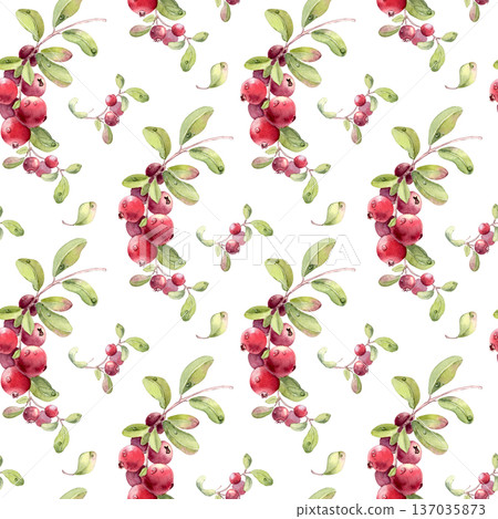 Lingonberry cranberry watercolor seamless pattern isolated on white. Hand drawn botanical endless background for fabric, paper, invitation, card, textile, wallpaper design. Vibrant wintergreen fruits. 137035873