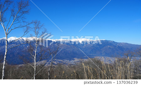 從金波賀塔山頂眺望的景色 137036239