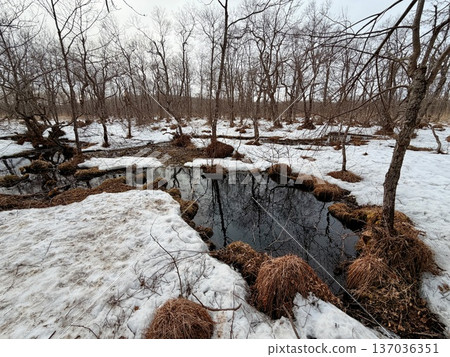 與北海道當地人一起在釧路濕地騎馬遠足 與北海道當地人一起在釧路濕地騎馬遠足 137036351